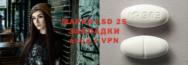 ПСИЛОЦИБИНОВЫЕ ГРИБЫ Осташков