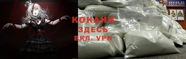 ПСИЛОЦИБИНОВЫЕ ГРИБЫ Осташков