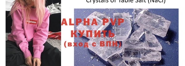 ПСИЛОЦИБИНОВЫЕ ГРИБЫ Осташков
