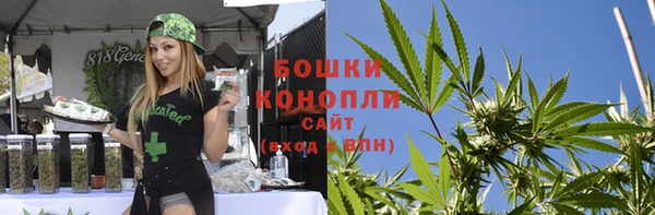 ПСИЛОЦИБИНОВЫЕ ГРИБЫ Осташков