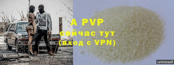 ПСИЛОЦИБИНОВЫЕ ГРИБЫ Осташков