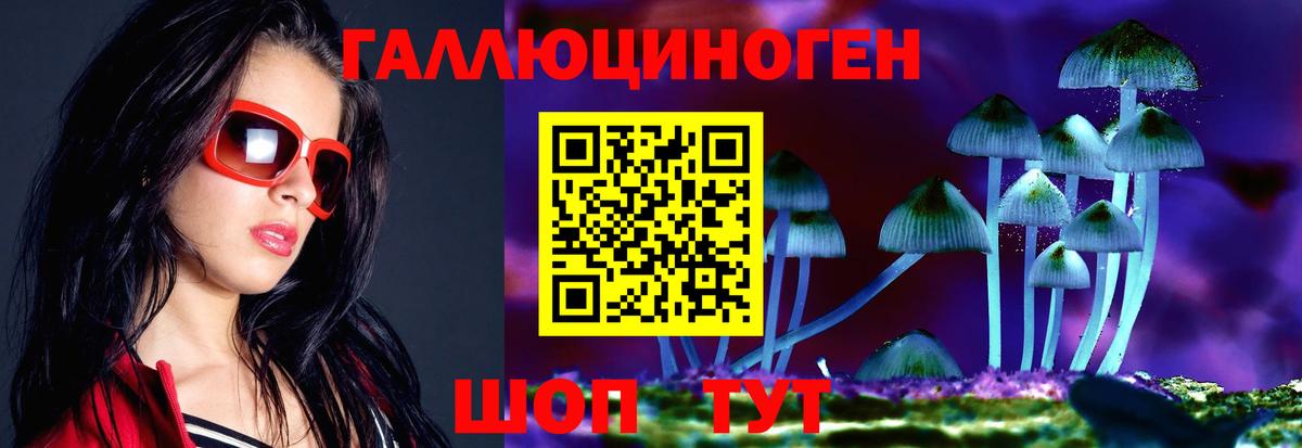 Псилоцибиновые грибы Psilocybine cubensis Рыбинск